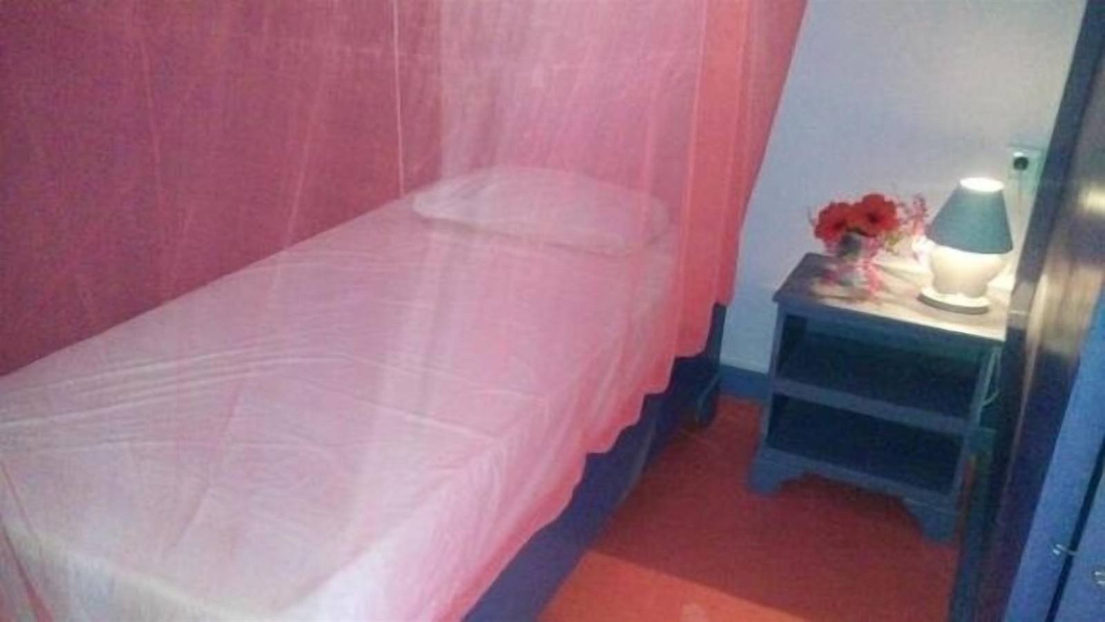 Single bed with a pink mosquito net and bedside lamp